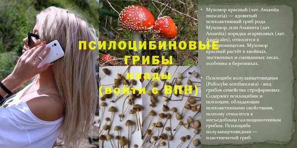 кокаин премиум Приозерск