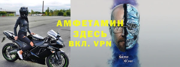 прущие грибы Вязьма