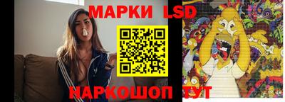 spice Гатчина