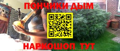 дживик Гай