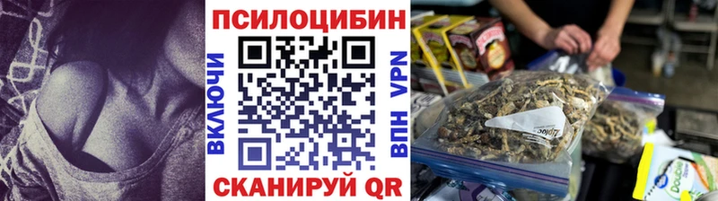 как найти закладки  Алатырь  Галлюциногенные грибы прущие грибы 