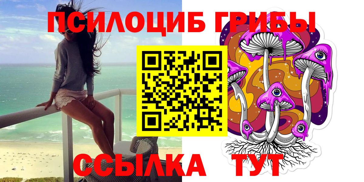 Галлюциногенные грибы Psilocybine cubensis  где можно купить наркотик  Алатырь 