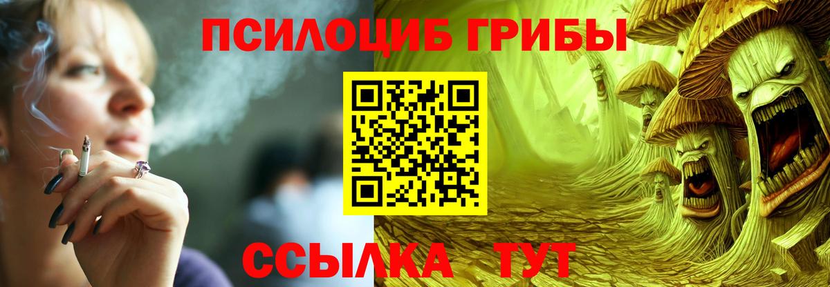 Галлюциногенные грибы Psilocybe  Вход с VPN  Алатырь  Псилоцибиновые грибы MAGIC MUSHROOMS 